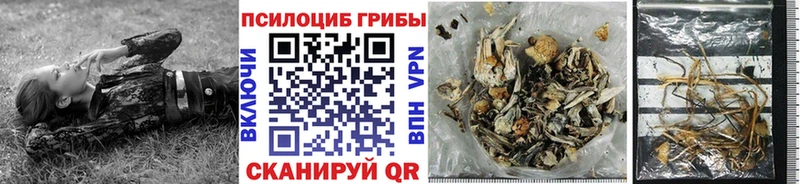 Псилоцибиновые грибы MAGIC MUSHROOMS  Купить где  Старая Купавна 